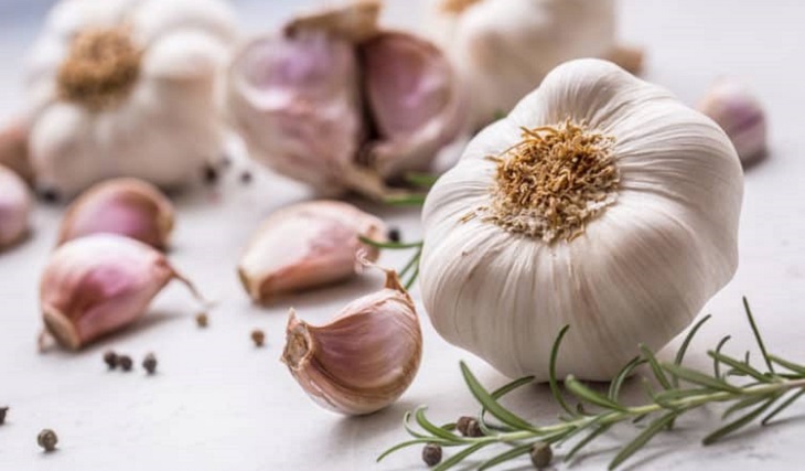 Tỏi nếu để trong tủ lạnh sẽ làm chúng nhanh mọc mầm